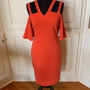 NWT Laundry by Shelli Segel Excellent Condition Dress